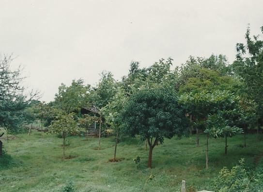 S.N.V.V Society's S.G.V Ayurvedic Medical College Belgaum Infrastructure & Activities photo 9